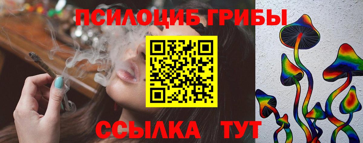 Алапаевск  Галлюциногенные грибы мицелий  Вход с VPN  купить наркотик  Галлюциногенные грибы Psilocybine cubensis 